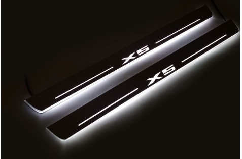 Накладки порогов с статической подсветкой для BMW X5 (E70) c 2007